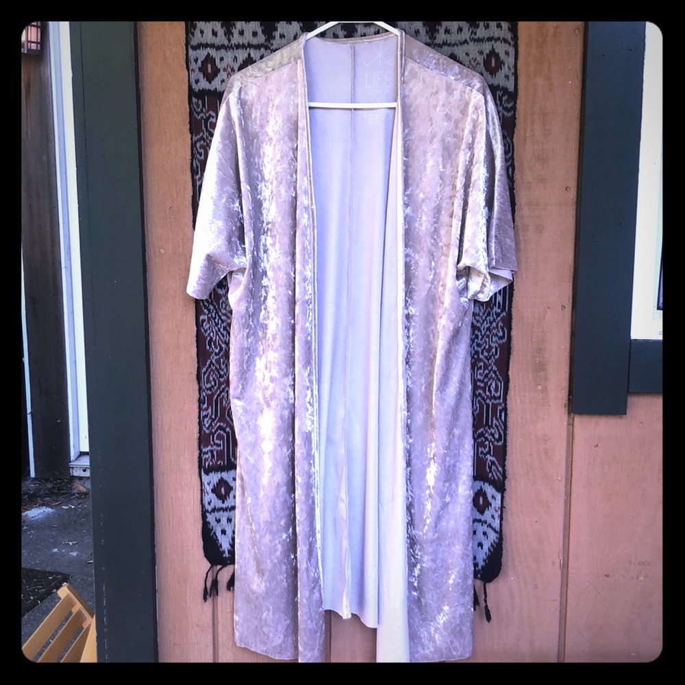 Beautiful velvet kimono